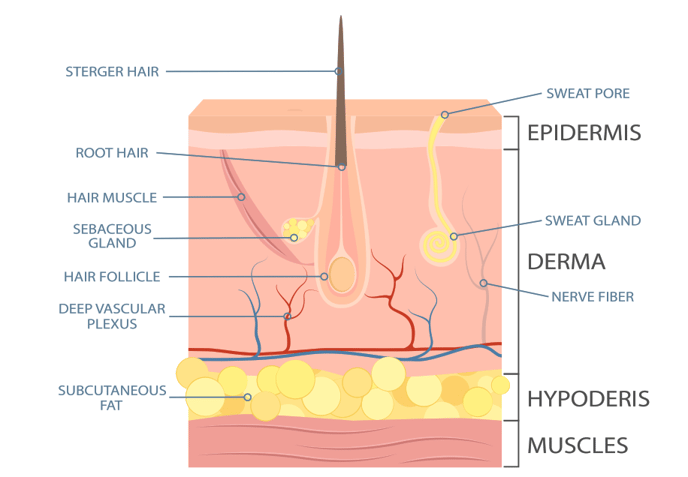 cryostimulation